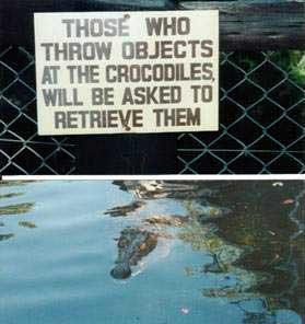 alligatorsign.jpg